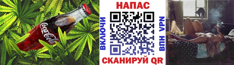 Canna-Cookies марихуана  как найти   Петушки 