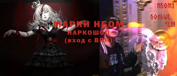 apvp Алексин