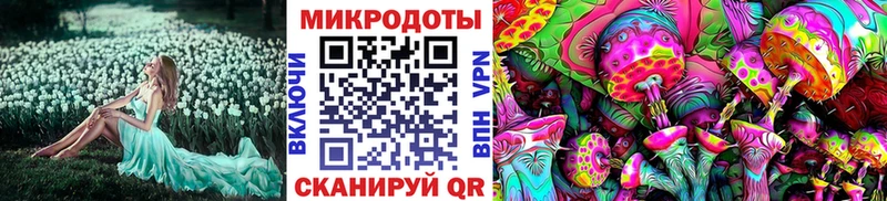 где купить наркоту  дарк нет формула  Галлюциногенные грибы мухоморы  Петушки 